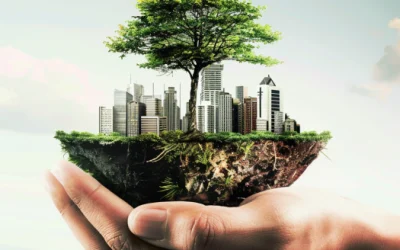 Sélection de goodies écologiques et pas cher